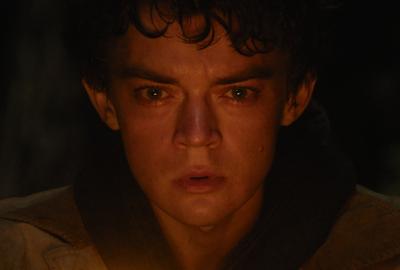 Close-up of Milo, seated by a fire