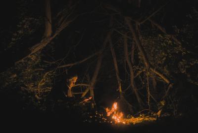 The hunter sits under a cave of trees by his campfire