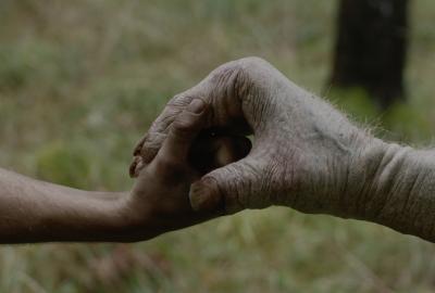 Image from Hollow